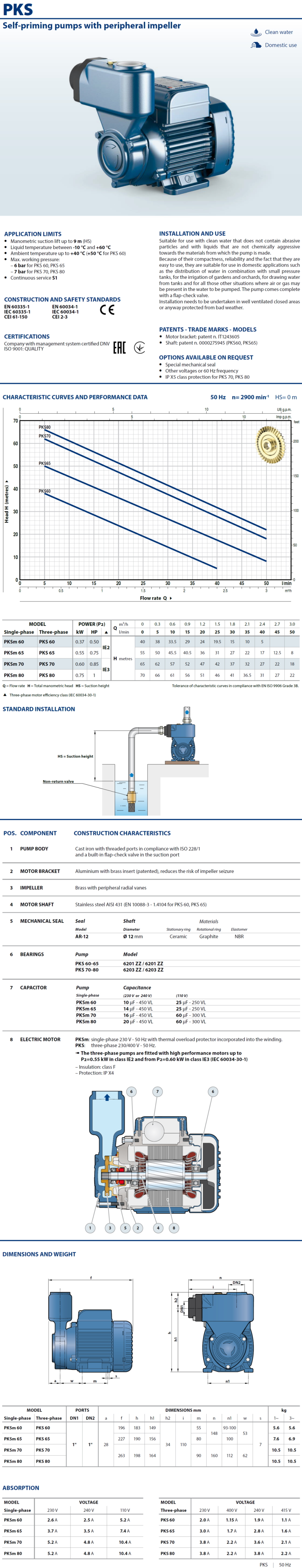 Pedrollo PQM65 Kreiselpumpe, 3000 Liter, Förderhöhe 50 m - SIAX  Reinigungsmaterial24