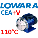Lowara CEA+V - Pompa centrifuga monogirante AISI304 con elastomeri FPM - CEAM120/3+V - 0,55kW 0,75Hp 1x220/240V 50Hz