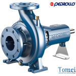 Centrifugal Pump with Overhung Impeller FG 100/250B PEDROLLO 75 HP single-entry