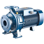 PEDROLLO F4100/160B-N Centrifugal pumps close coupled and standardized Cast Iron