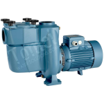 Pompe de piscine filtration 15m3/h Mono 0,75kW Calpeda NMPM 32/12DE avec filtre auto-amorçante