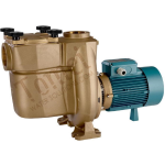 Salzwasserpool Pumpe mit Filter Calpeda BNMP 32/12A/A Bronze Wasserumwälzung für Schwimmbad Drehstrom 400V 0,75Hp 15m3/h