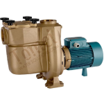 Filterpumpe Bronze für Schwimmbad Drehstrom 400V mit Filter Calpeda BNMP 50/12H/A 1,1kW 54m3/h Selbstansaugende